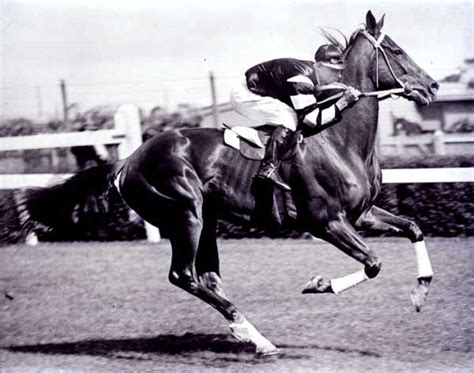 Phar Lap collection .